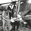 The Moondogs