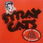 stray cats live from Europe