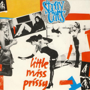 stray cats