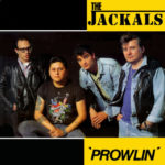 Jackals Prowlin'