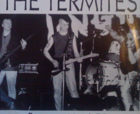 termites