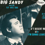 Big Sandy and the Fly-Rite Trio